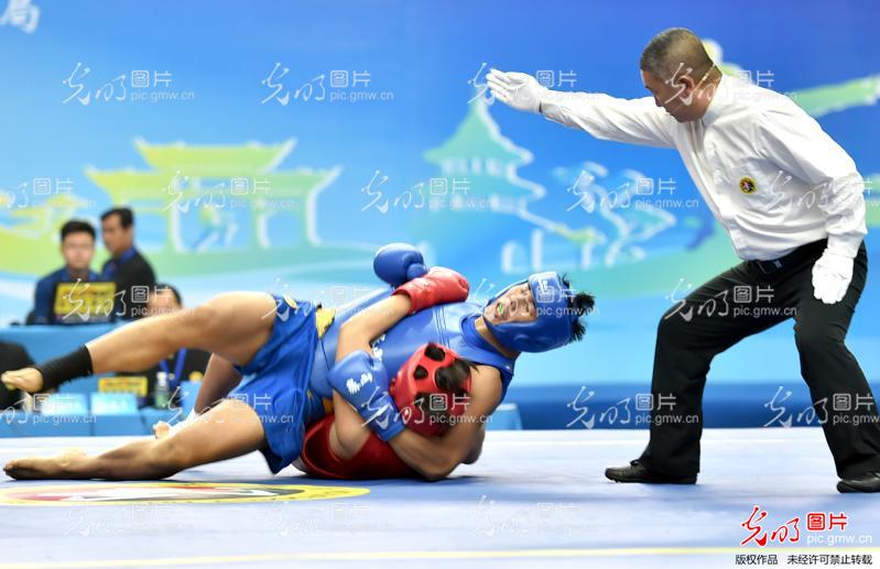 中国武术散打冠军,从擂台到生活的热血江湖 中国武术散打冠军,从擂台到生活的热血江湖